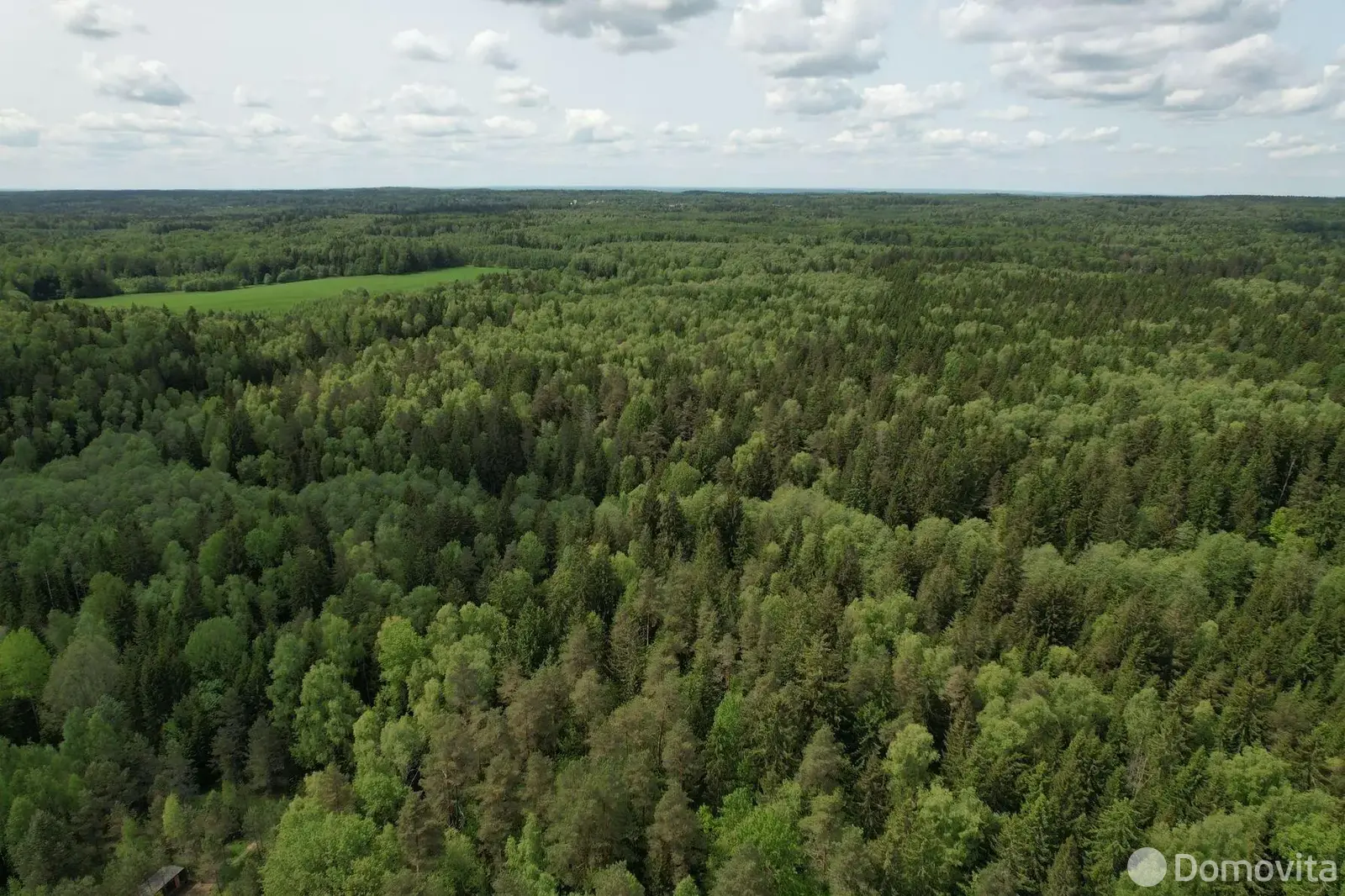 Цена продажи участка, Борщевник, д. 57