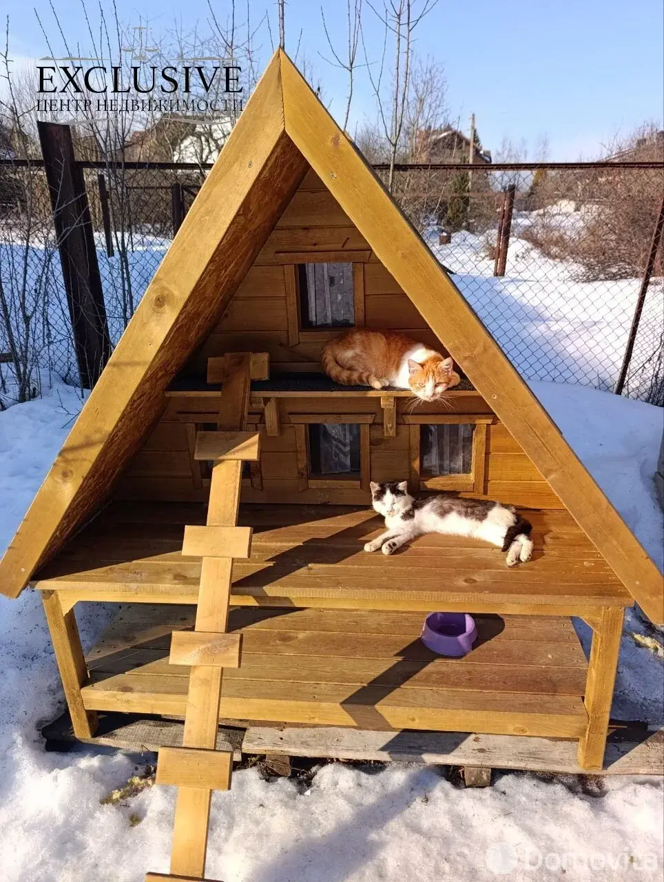 дача, Береза, 