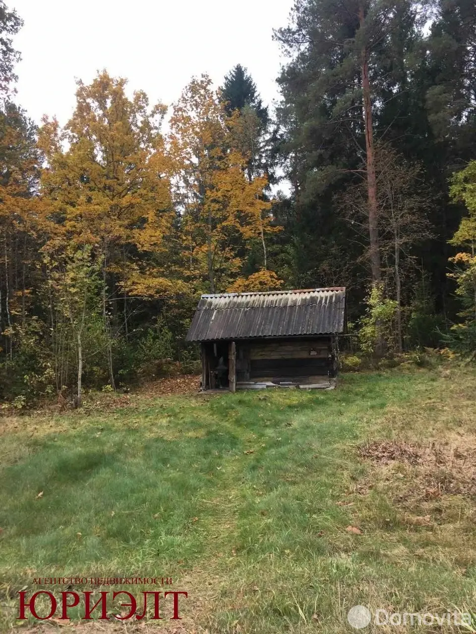 дом, Заольша, 