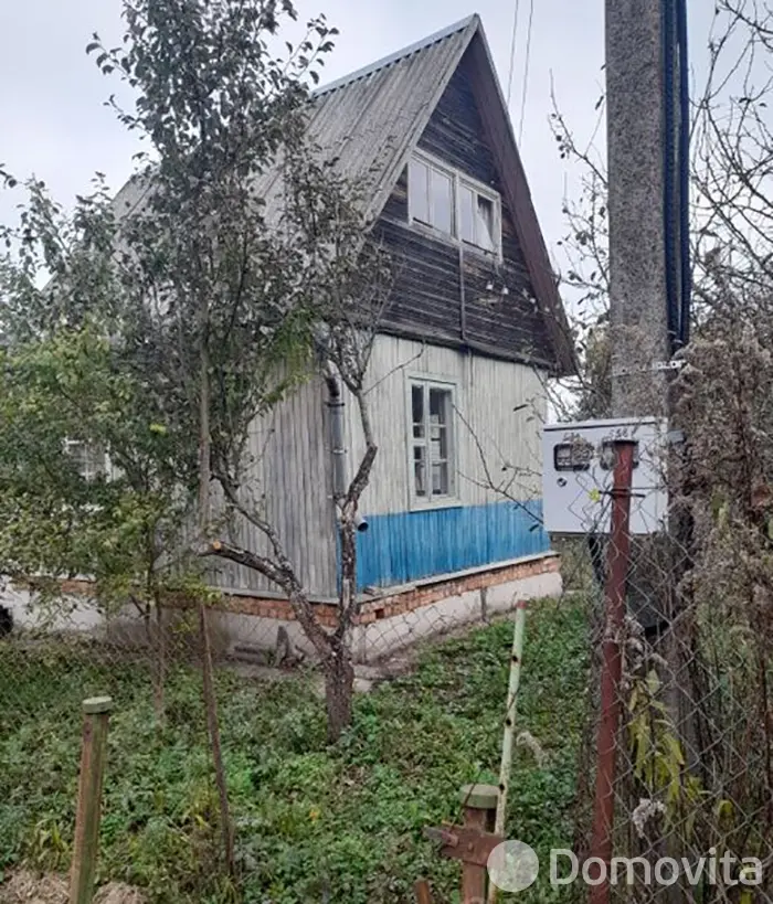 дача, Шарик, 