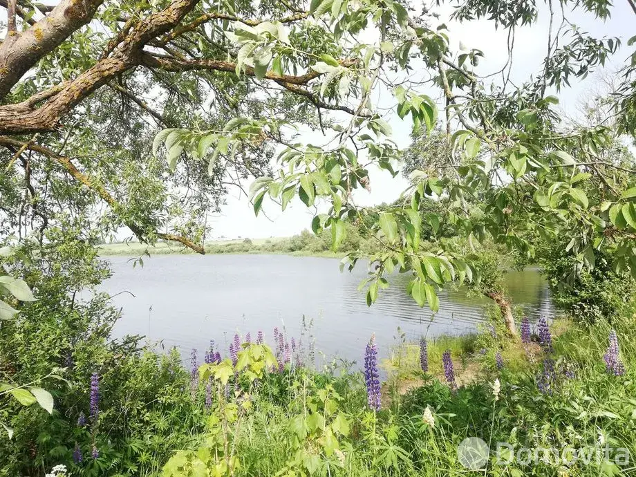 Аренда коттеджа Домик в деревне на сутки в Речках 1 , 80BYN, код 1476 - фото 3