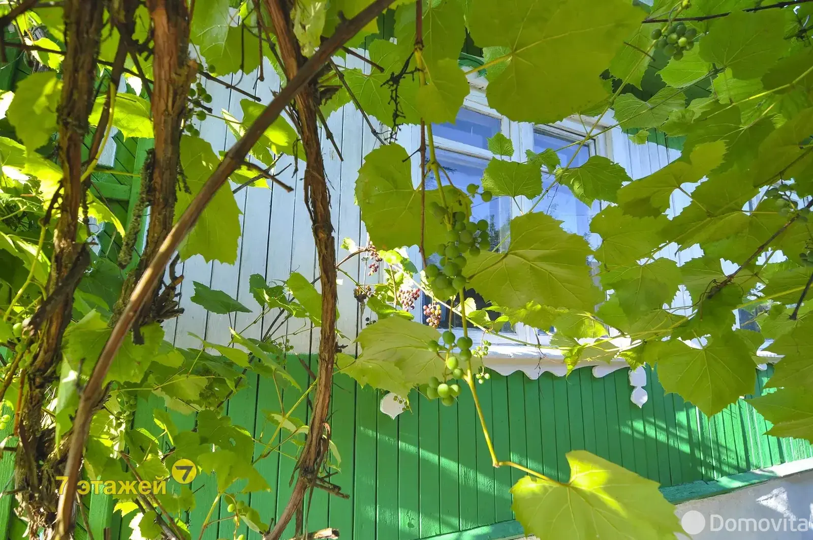 Купить 2-этажную дачу в Энергостроителе Минская область, 8000USD, код 175338 - фото 31