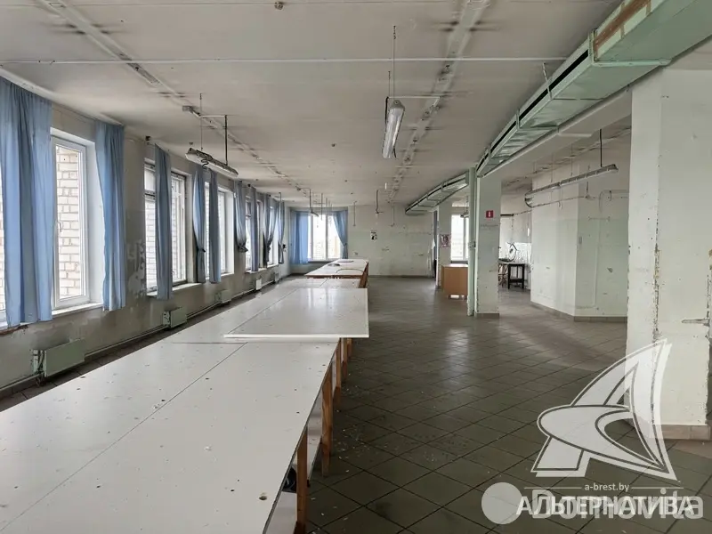 Купить помещение под сферу услуг в Бресте, - фото 17