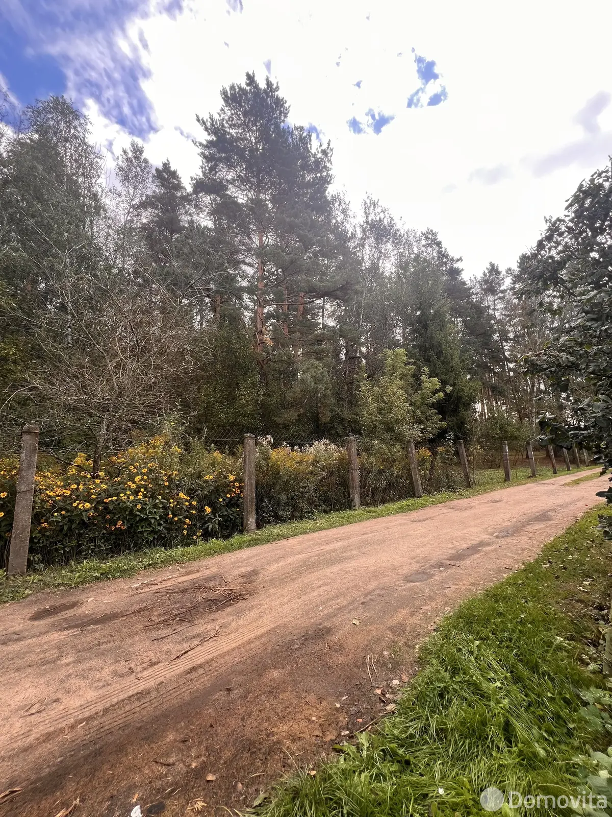 Продажа 1-этажной дачи в Станкостроитель Минская область, 9900USD, код 184179 - фото 29