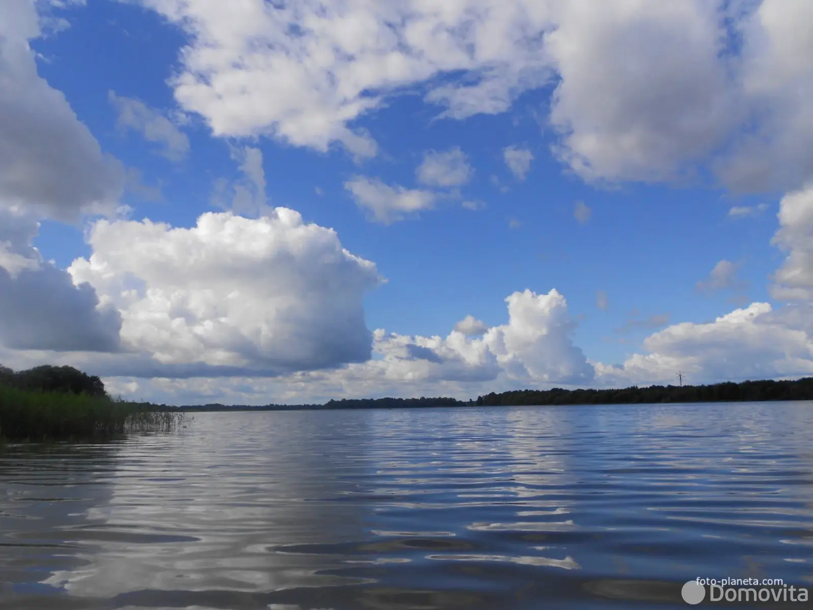 дом, Сенно, ул. Витебская 