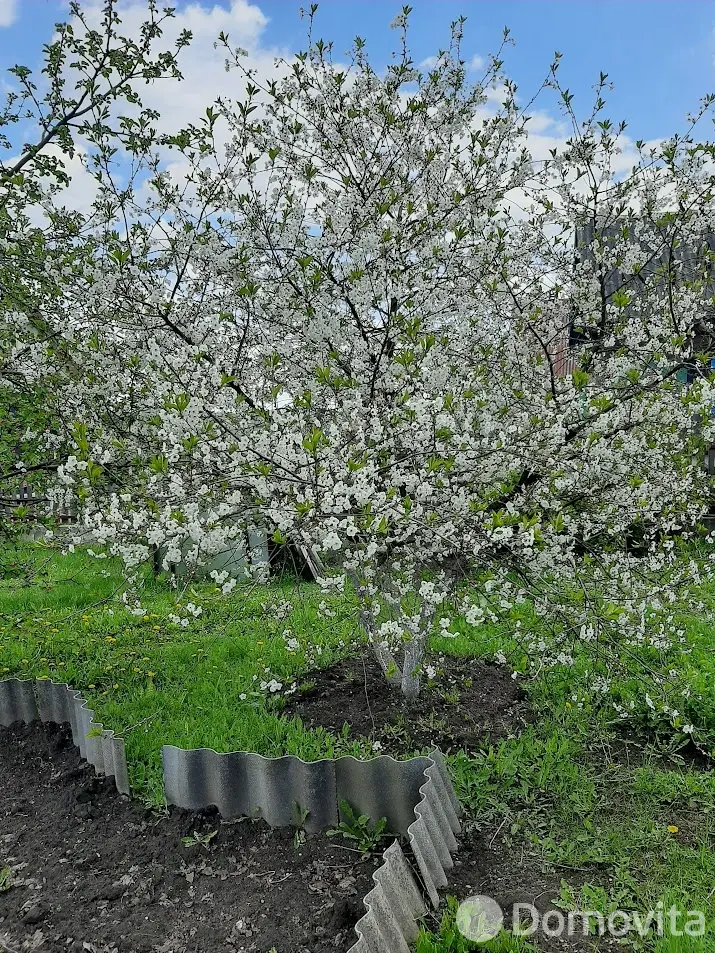 дом, Кнотовщина, ул. Центральная - лучшее предложение
