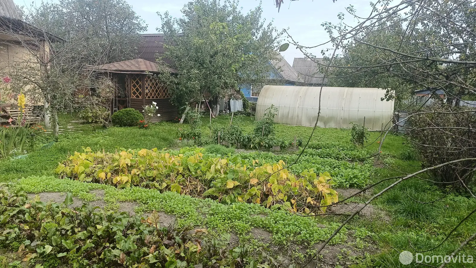 дача, Елочка, д. 53