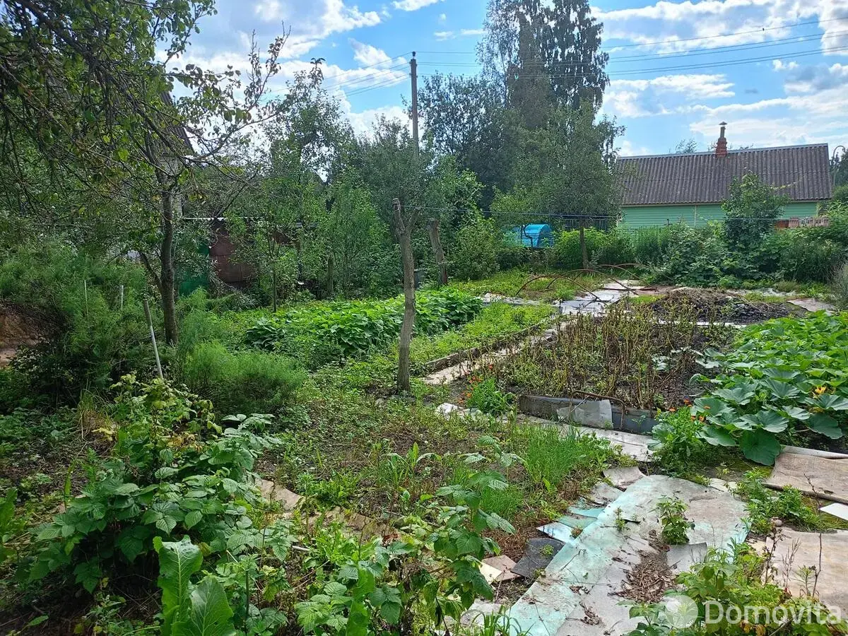 участок, Колос, 