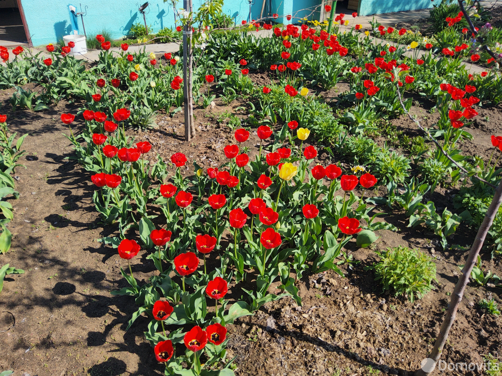 дача, Борисов, ул. Юшкевичская, д. 67 