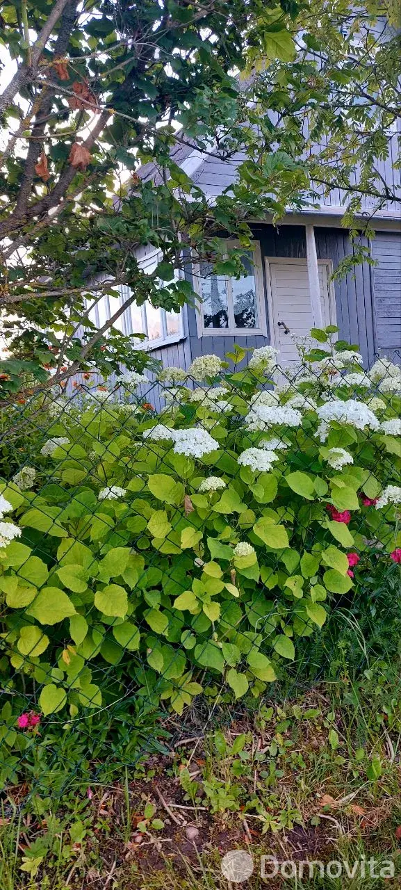 Аренда коттеджа Дом / баня у озера на сутки в Веснянке , 150BYN, код 1303 - фото 2
