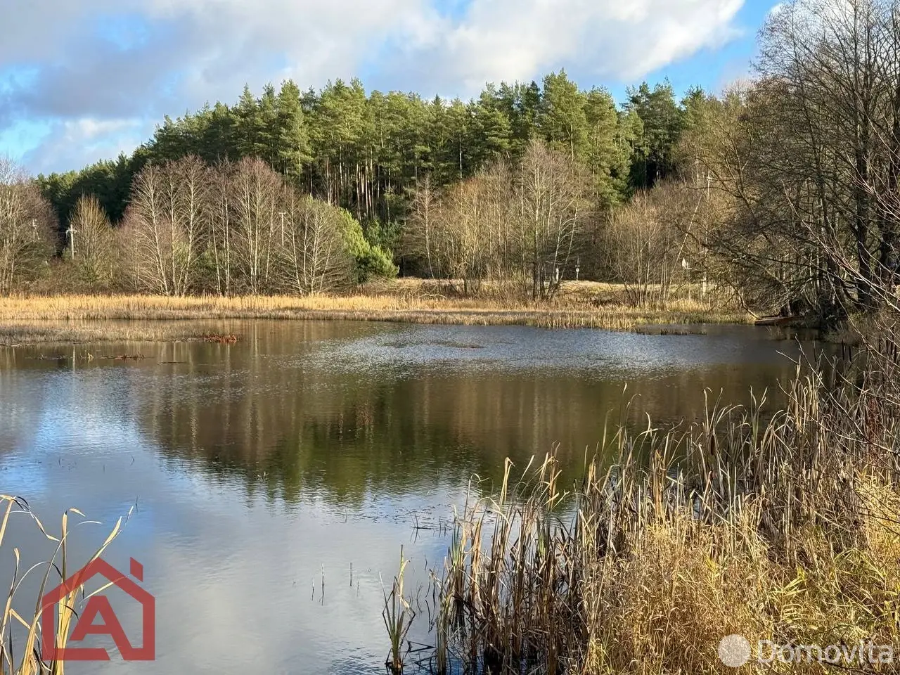 Купить земельный участок, 25 соток, Приселки, Минская область, 33000USD, код 571253 - фото 12