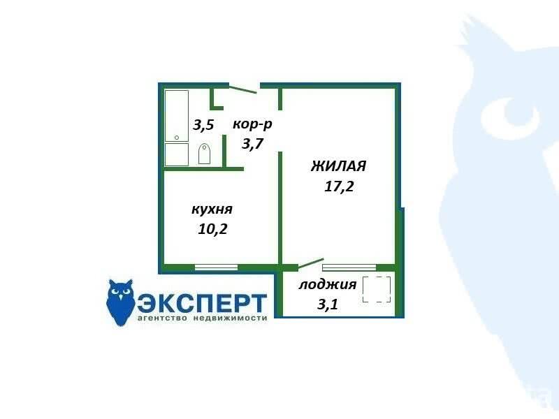 Купить 1-комнатную квартиру в Лесном, ул. Александрова, д. 8, 50900 USD, код: 1006929 - фото 1