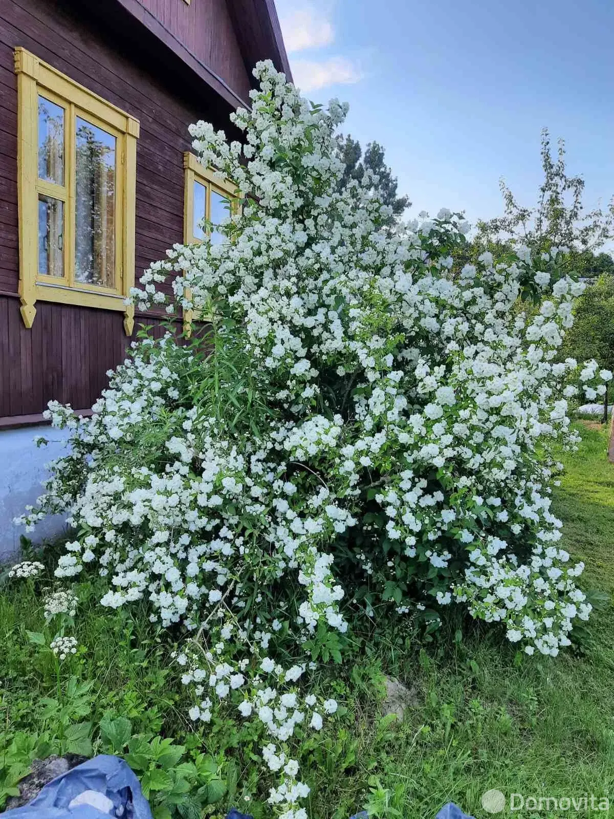 Цена продажи дачи, Белстандарт, 