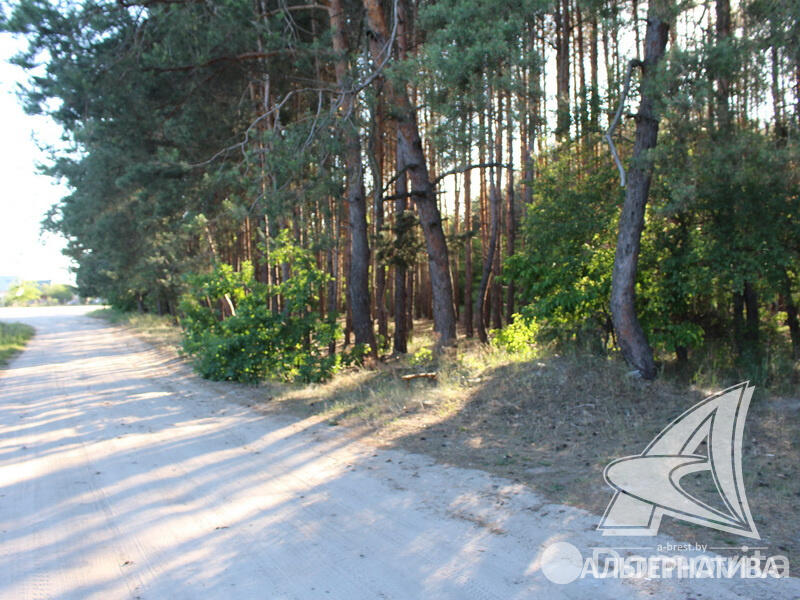 Продажа 2-этажной дачи в Вымпел УВД Брестская область, 60000USD, код 163421 - фото 14