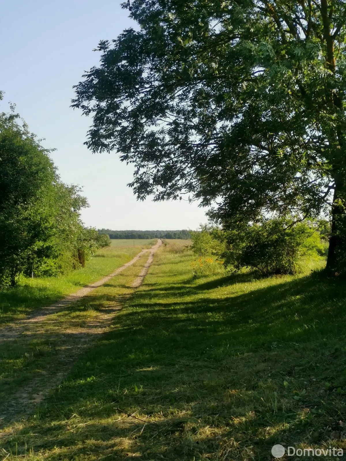 дом, Чертовичи, д. 6 