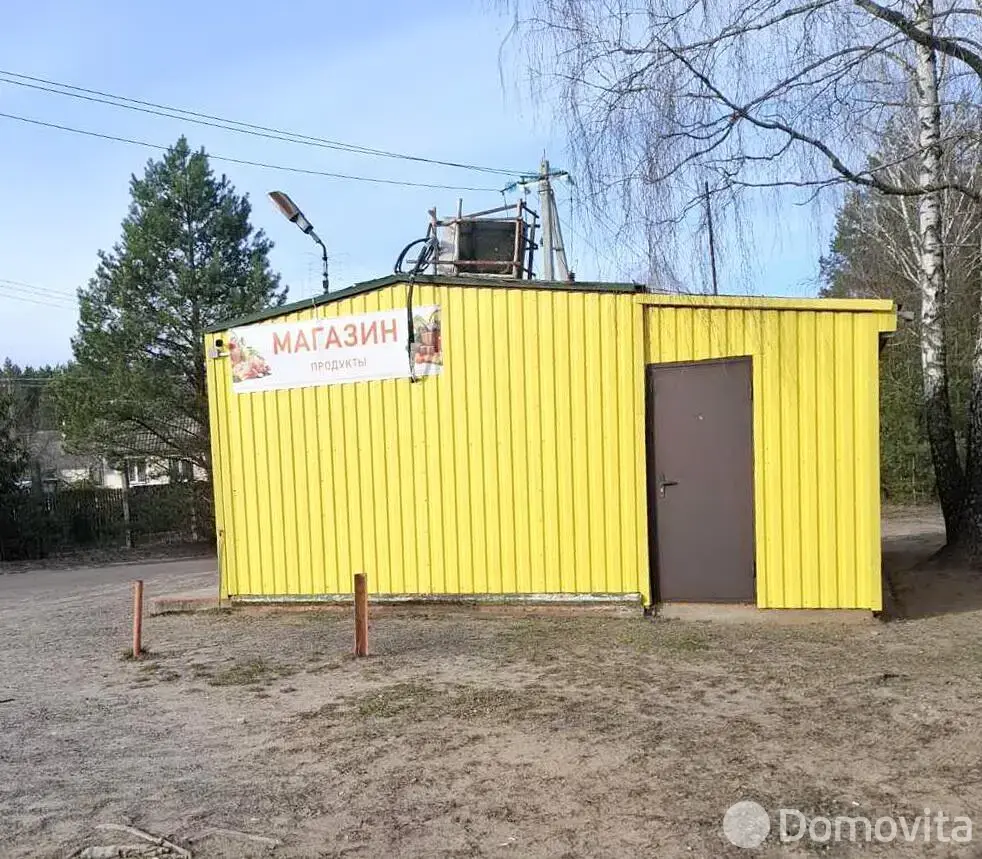 Продажа 2-этажной дачи в Овощник-плюс Минская область, 27500USD, код 185354 - фото 20