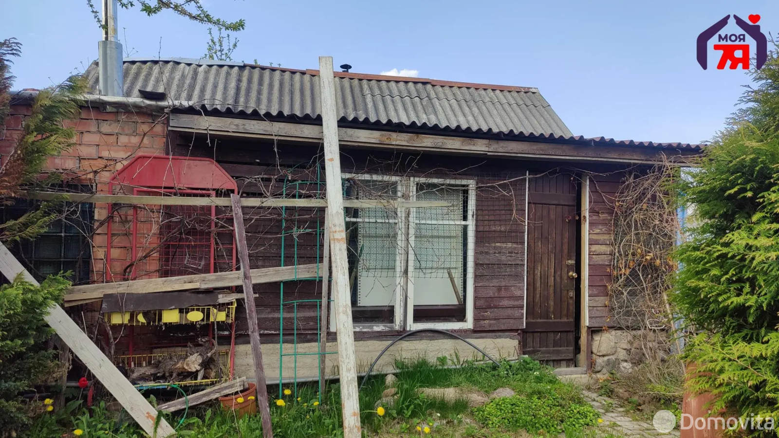 дача, Ель, 