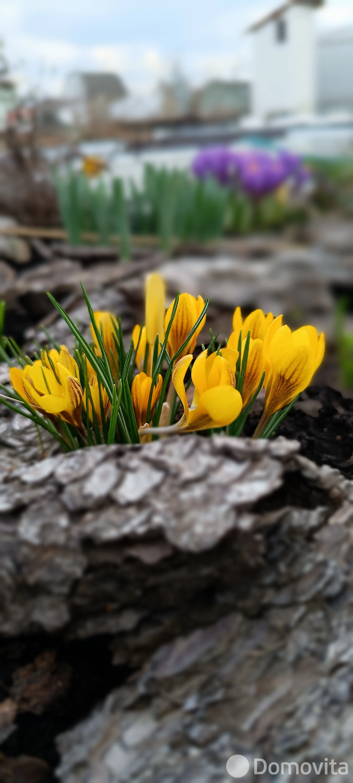 Продажа 2-этажной дачи в Ветераны войны Загорья Минская область, 43900USD, код 185539 - фото 19