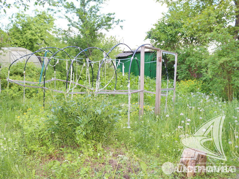 Купить 2-этажную дачу в Приозерное Брестская область, 14900USD, код 162084 - фото 16