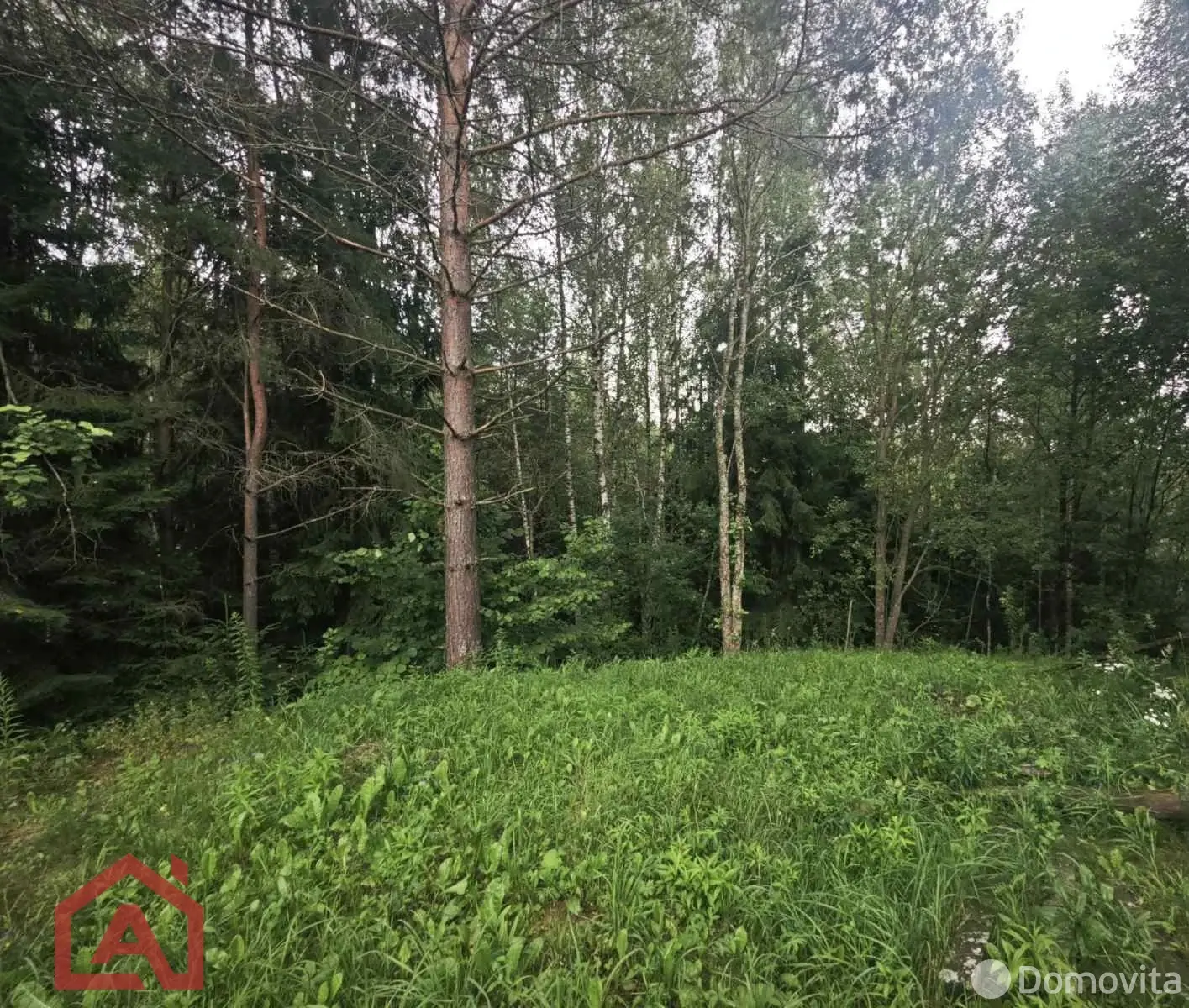 Купить земельный участок, 15 соток, Мончаки, Минская область, 89000USD, код 570778 - фото 25