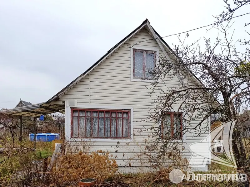 Купить 1-этажную дачу в Здоровье 2008 Брестская область, 15500USD, код 185353 - фото 3