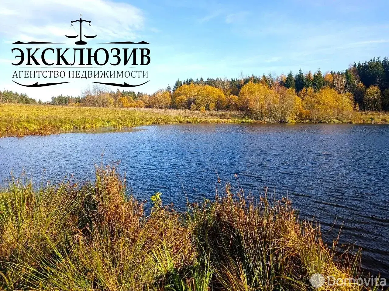Купить земельный участок, 25 соток, Гиревичи, Минская область, 140000BYN, код 572180 - фото 12