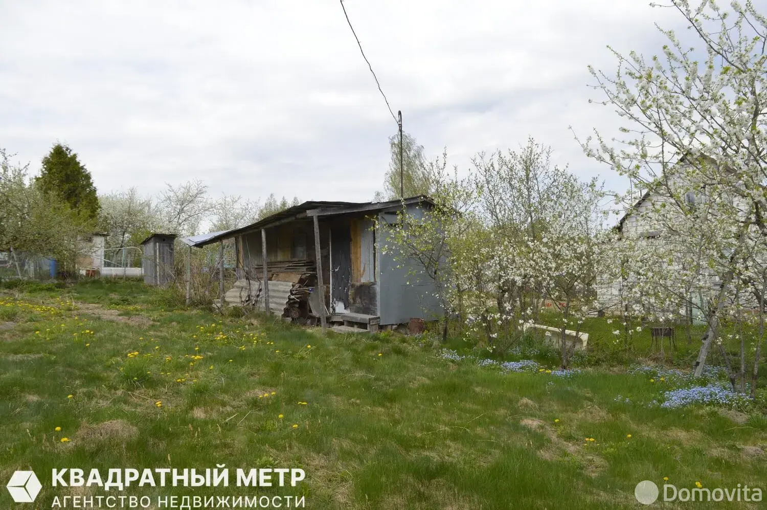 участок, Медик,