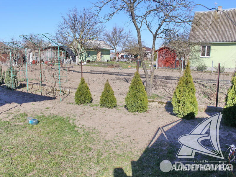 Купить 2-этажную дачу в Динамо Брестская область, 19900USD, код 162204 - фото 12