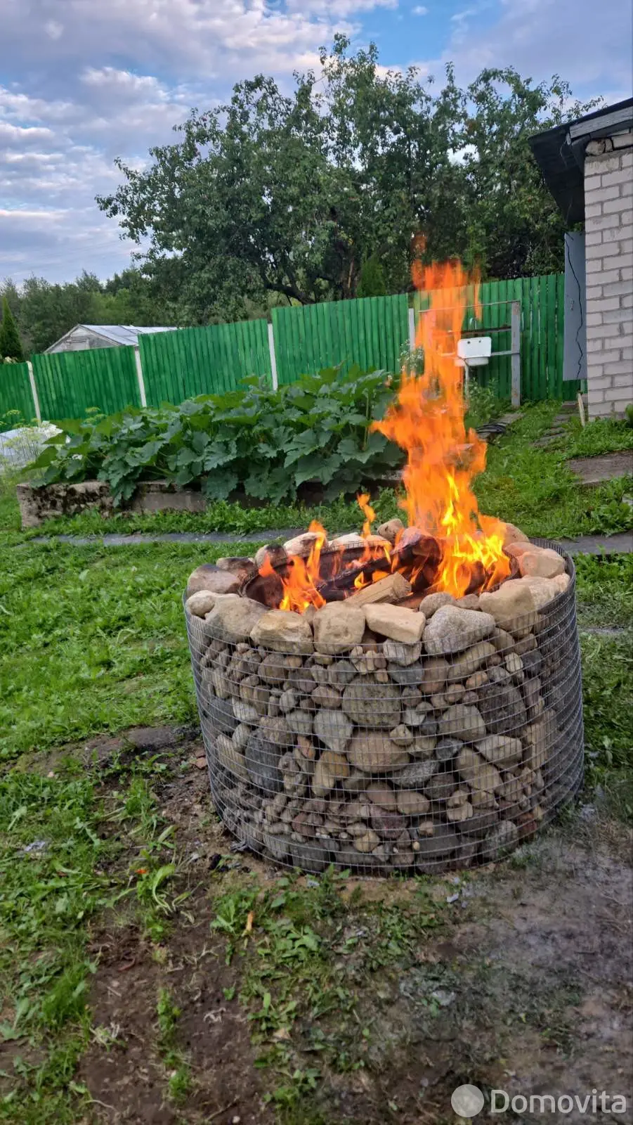 дача, Тюльпан, 