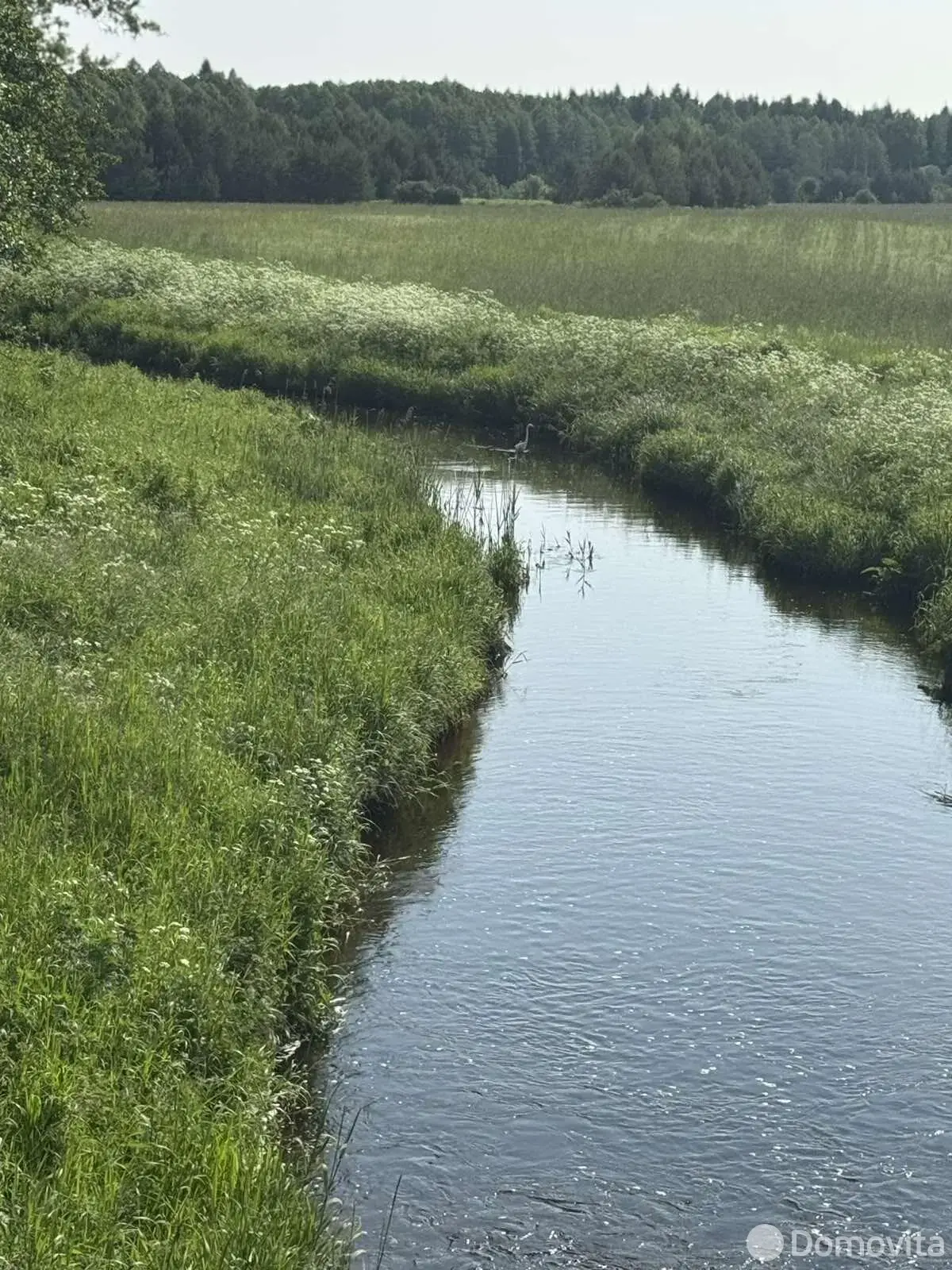 дом, Пекалин, ул. Ленина, д. 1