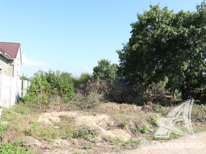 Купить земельный участок, 19.56 соток, Тельмы-2, Брестская область, 37500USD, код 566202 - фото 12