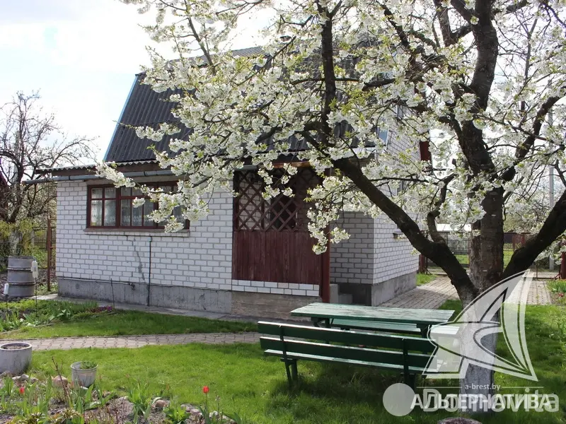 дача, Суница-80, 