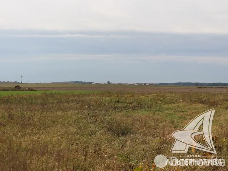 Цена продажи участка, Задворье, 