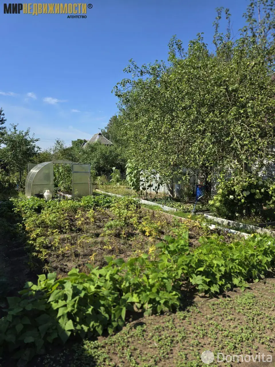 Купить 2-этажную дачу в Пищевик Бобруйского района Могилевская область, 24000USD, код 183844 - фото 13