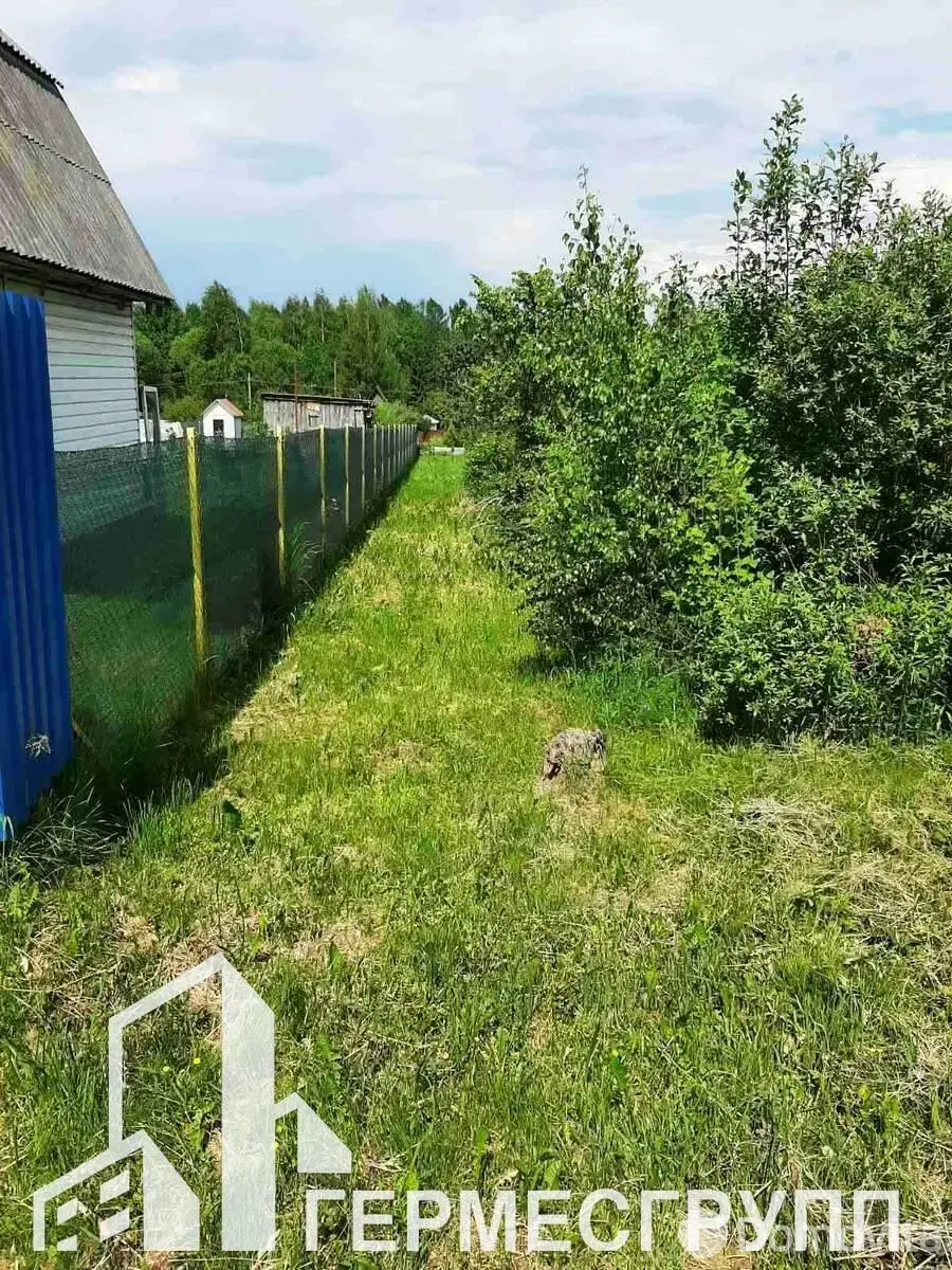 участок, Ивонцевичи, , стоимость продажи 11 414 р.