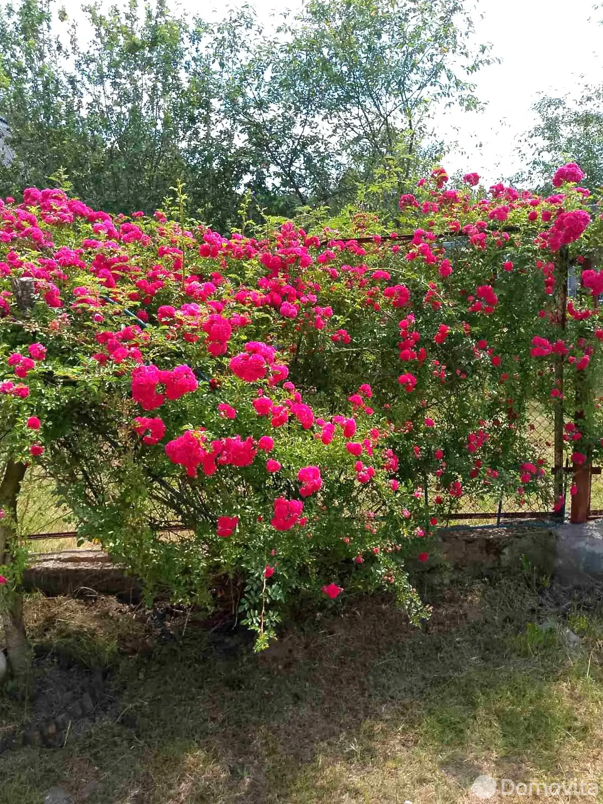 Купить 3-этажную дачу в Борщевке Гомельская область, 41900USD, код 181896 - фото 12