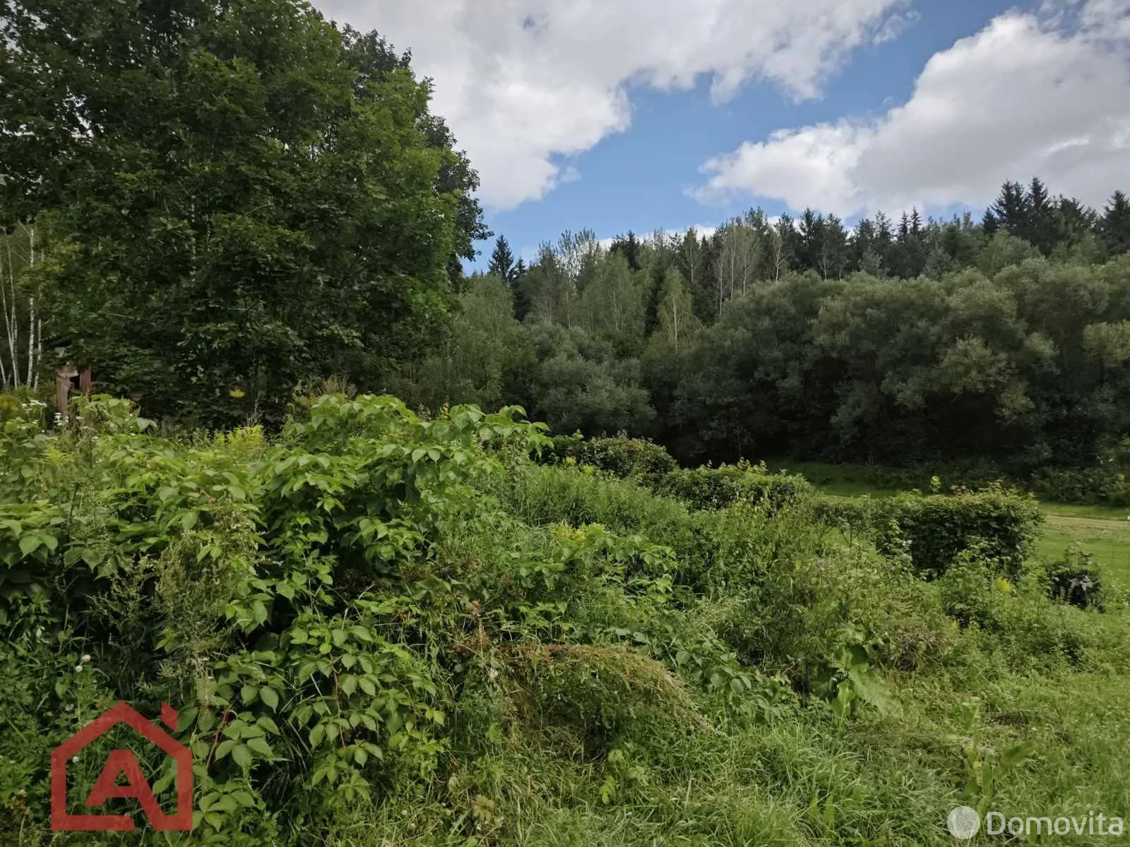 участок, Мончаки, ул. Центральная, д. 39 