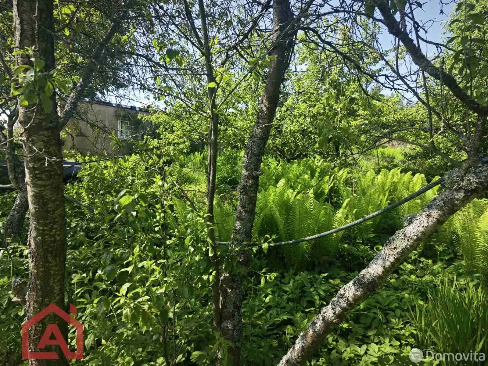 Купить земельный участок, 9 соток, Поляна, Минская область, 13000USD, код 571785 - фото 22