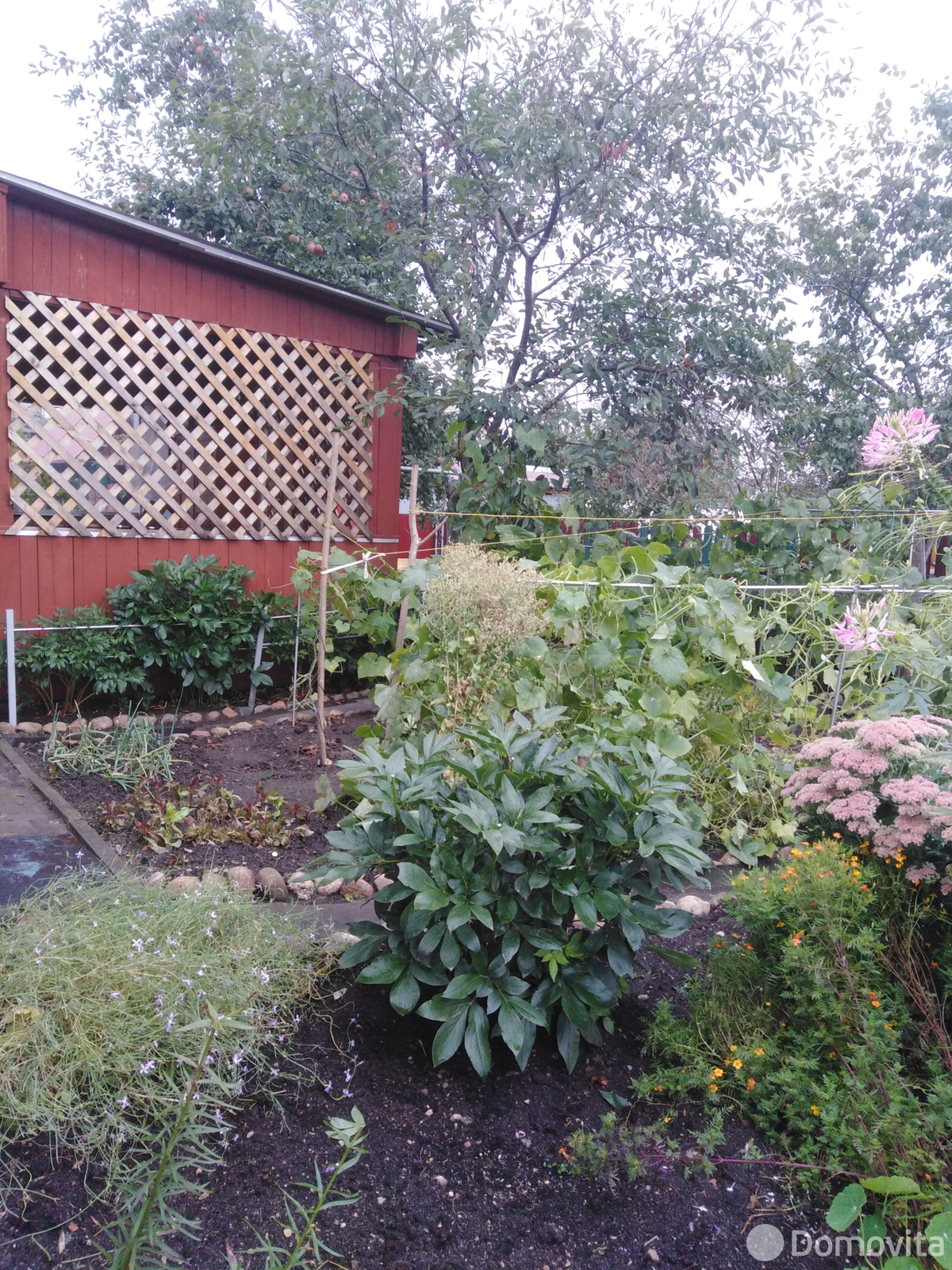 дача, Малинники, 