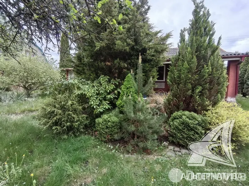 Купить 1-этажную дачу в Суница-80 Брестская область, 83720BYN, код 185703 - фото 19