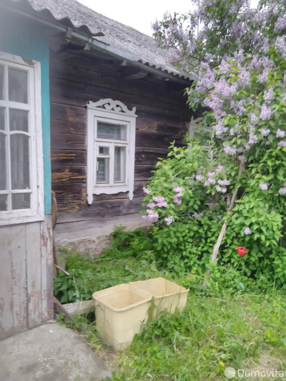 дом, Великая Липа, ул. Фрунзе от собственника