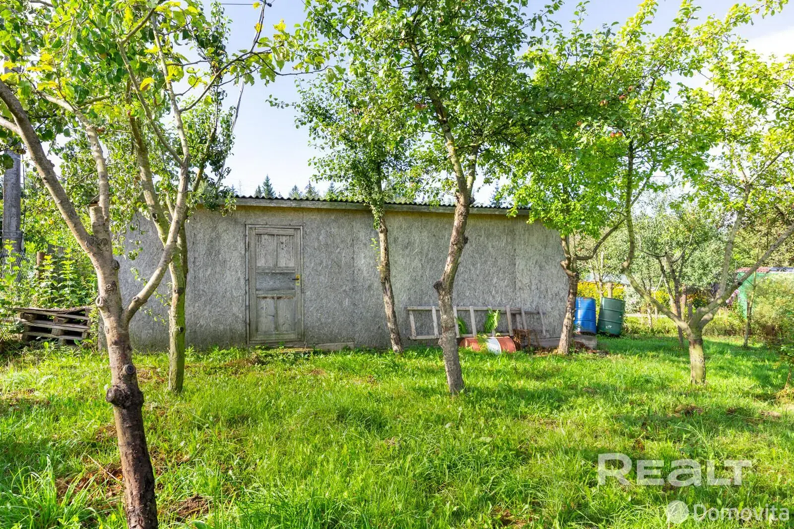 дача, АЛЕСЯ, 