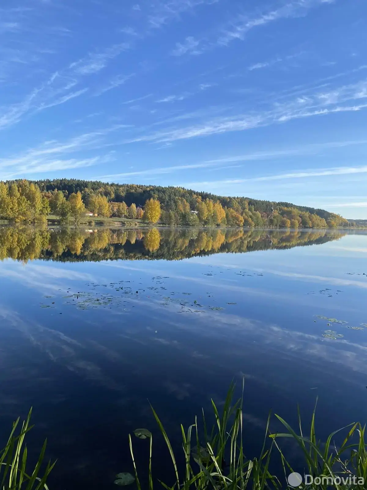 Купить земельный участок, 37.24 соток, Раубичи, Минская область, 350000USD, код 570576 - фото 12