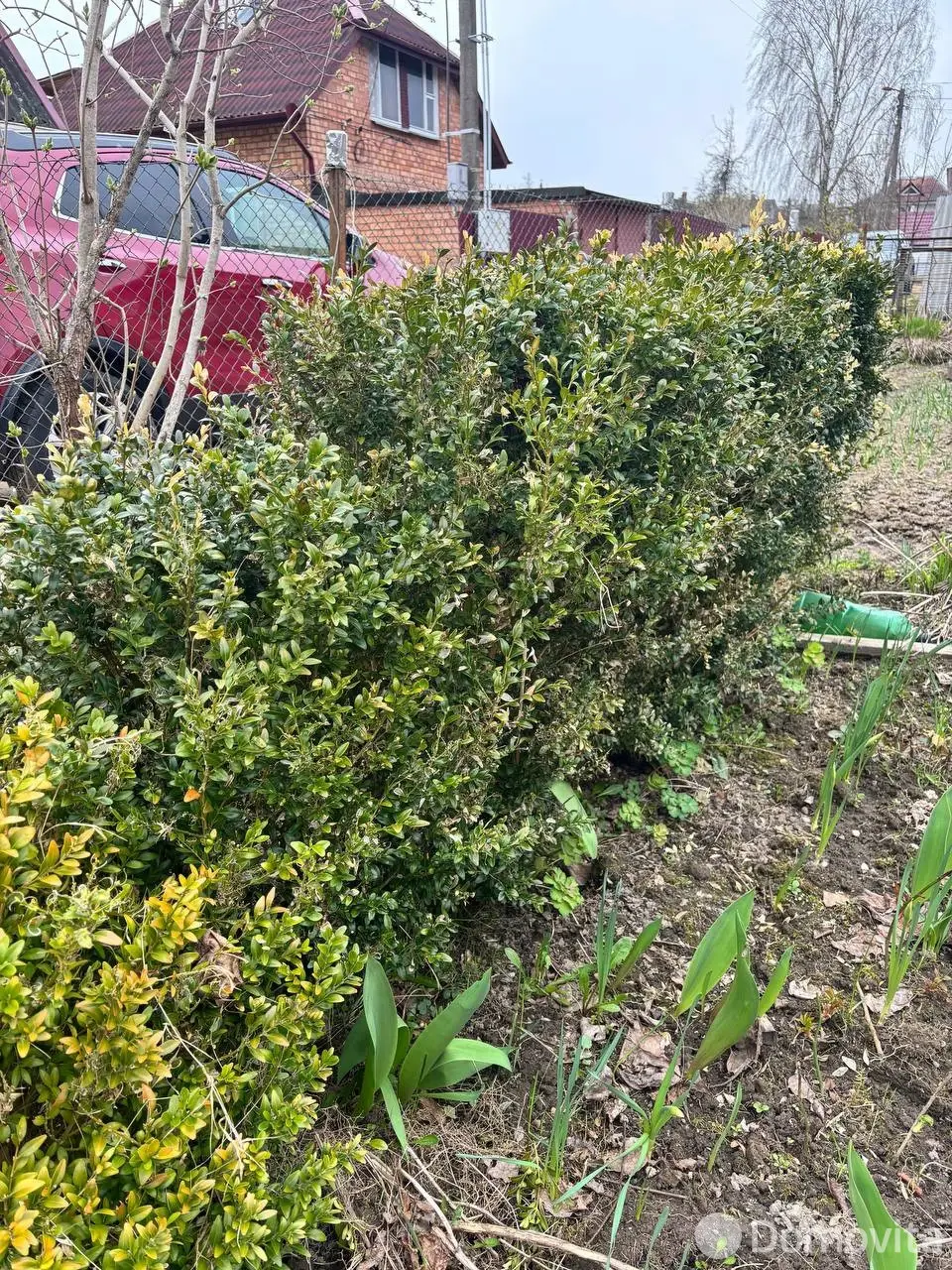 Продажа 2-этажной дачи в Семушки Минская область, 32500USD, код 185544 - фото 22