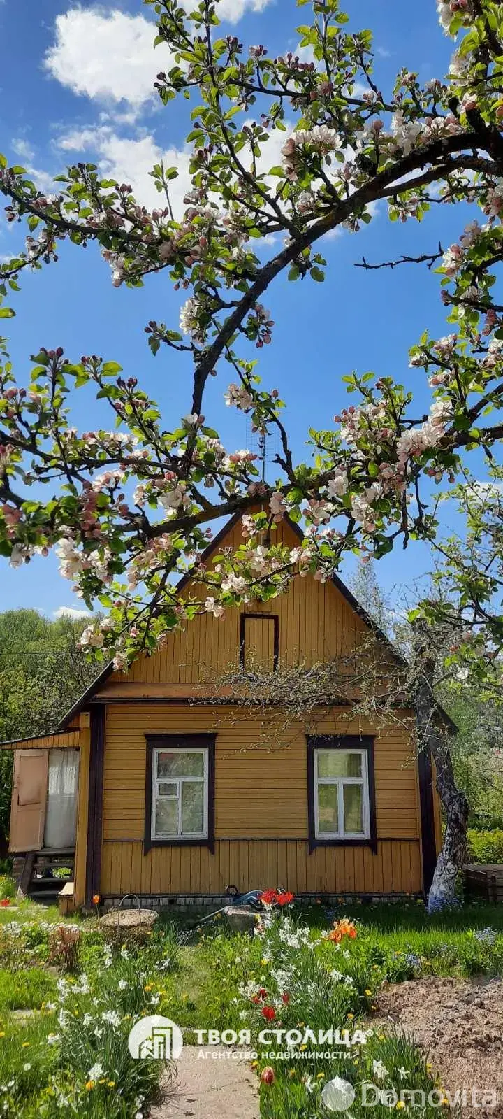 дача, Золотой колосок, - лучшее предложение