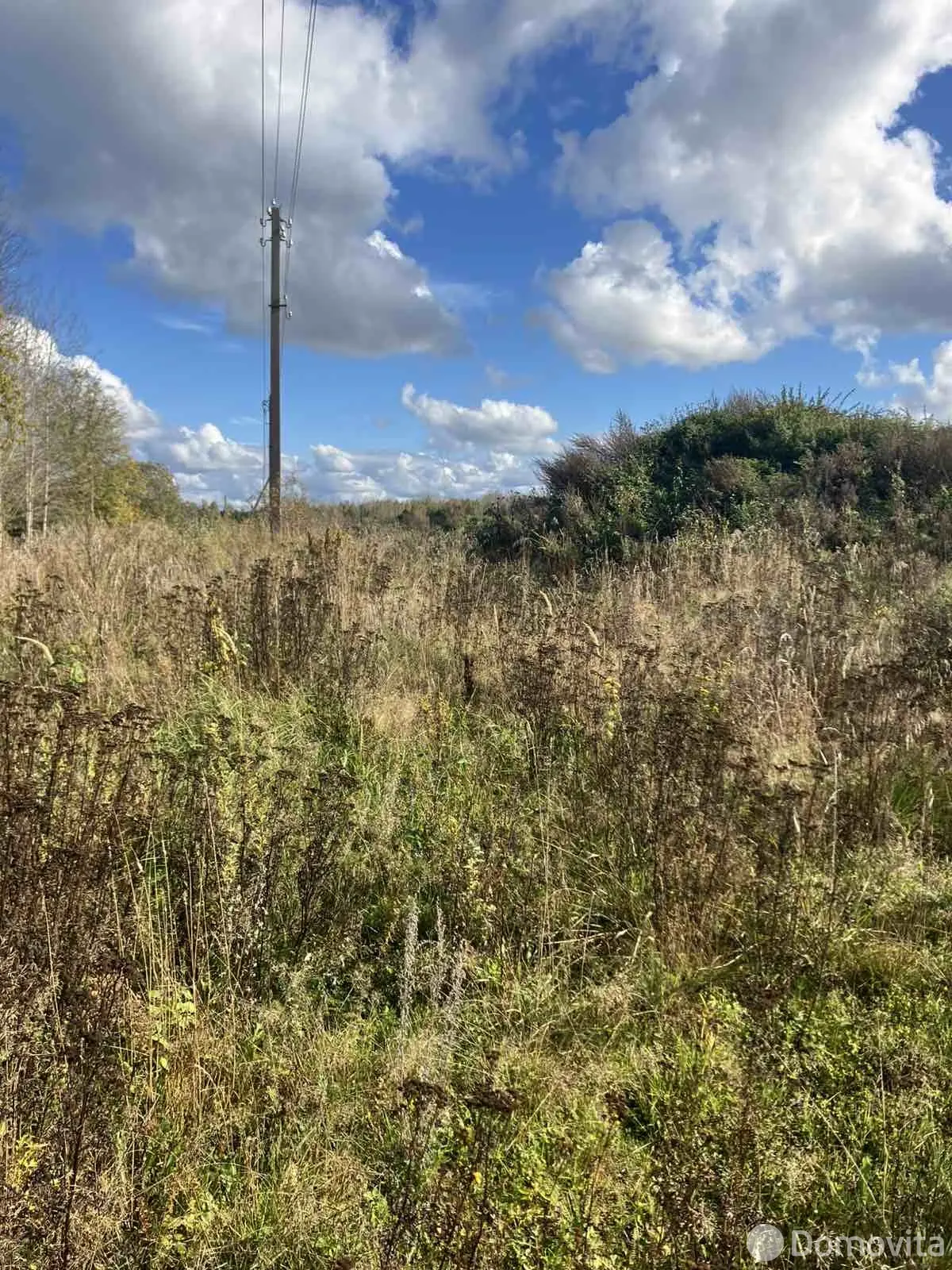 Купить земельный участок, 15 соток, Гольница, Витебская область, 4500USD, код 571125 - фото 11