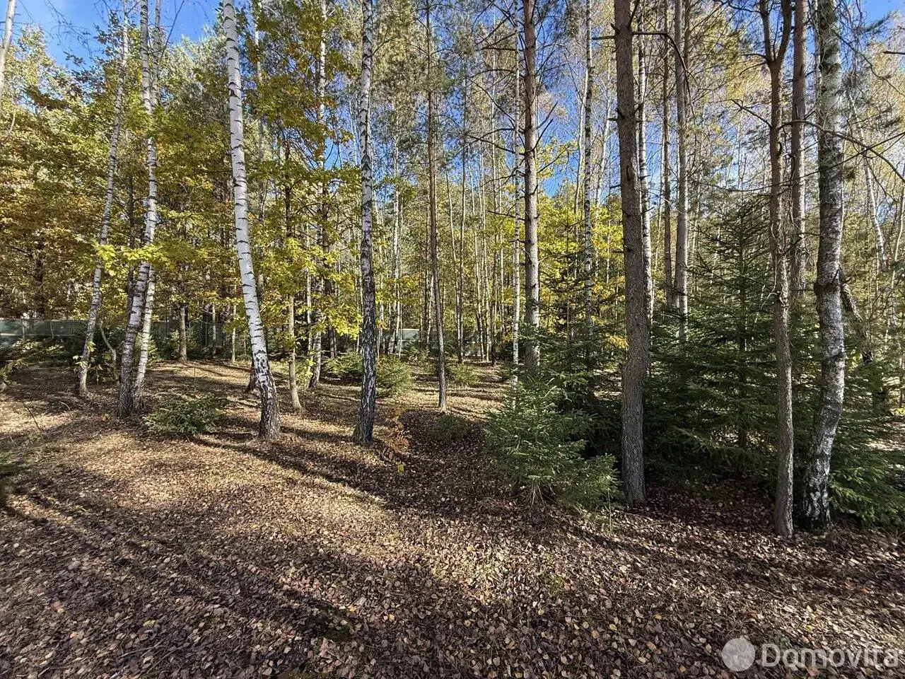 участок, Колодищи, ул. Алмазная 