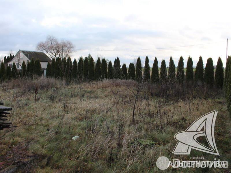 Купить 2-этажную дачу в Восток 92 Брестская область, 29900USD, код 180824 - фото 17