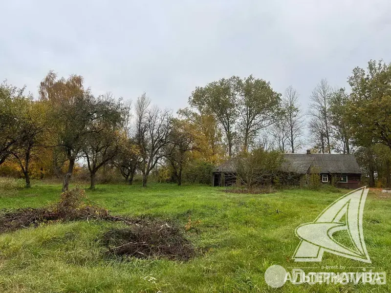 дом, Степанки, 