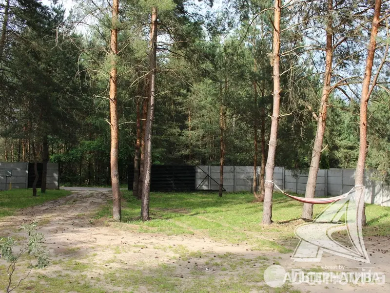 Купить 1-этажную дачу в Амарилис-92 Брестская область, 119000USD, код 177507 - фото 16